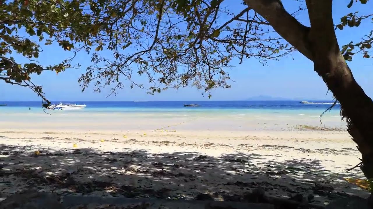 Discover a virtual stroll around Loh Moo Dee Beach.