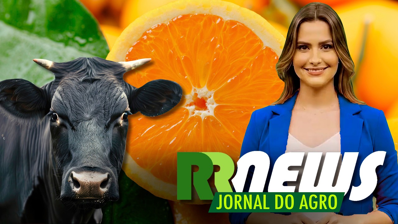 RRNEWS - O Jornal do Agro - 18/07/2026