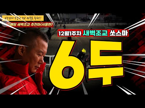 12월1주차 경마주간!! 월초 경마라고 앝보면 쌍코피!! 2주간 훈련변화 보인 마필은?