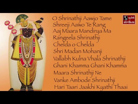 Shrinathji Satsang | 11 Beautiful Songs | Hari Taari Zaakhi