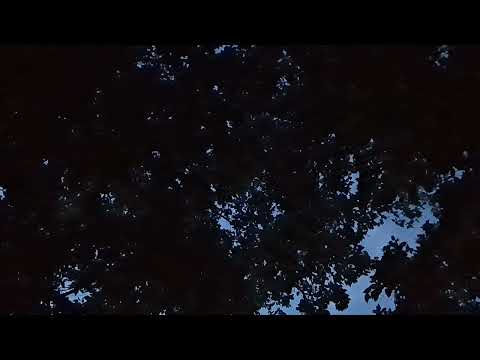 Timentes x screwyounick - fcked up (feat. TOB Duke)