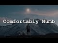 Pink Floyd - Comfortably Numb (Lyrics)
