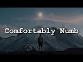 Pink Floyd Comfortably Numb Lyrics