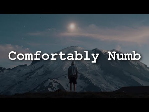 Pink Floyd - Comfortably Numb (Lyrics)