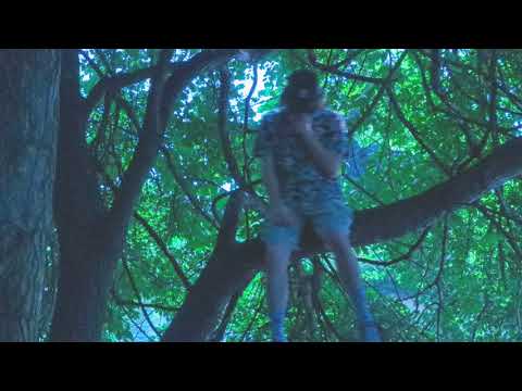 guardin - trust me (prod. by redrose)