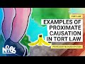 Examples of Proximate Causation in Tort Law [No. 86]