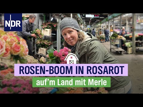 Hochsaison auf Deutschlands größtem Blumengroßmarkt | Folge 9 | NDR auf'm Land mit Merle