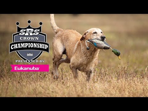 2023 SRS Crown Championship - Series 2