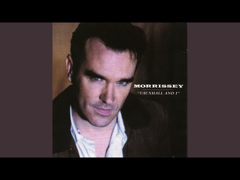 I Am Hated for Loving - Morrissey