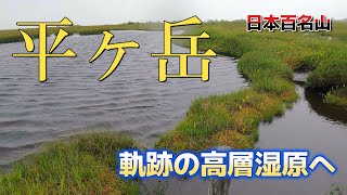【平ヶ岳】奇跡の高層湿原