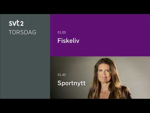 SVT 2, Taking a break