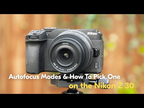 Mastering Autofocus: A Guide to Choosing the Right Mode for Every Shot | Nikon Z 30