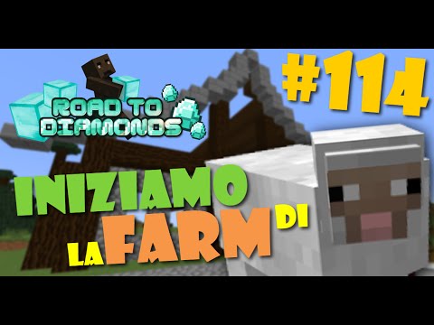 Road To Diamonds - Ep. #114 - Iniziamo la Farm di pecore!