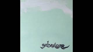 K Salvatore - The Kermes Infestation