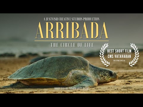 ARRIBADA - THE CIRCLE OF LIFE 📽️ BEST SHORT FILM NOMINEE - CMS VATAVARAN GREENFRAMES 2023