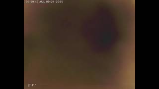 432 E Howard Ave, #17 - 2