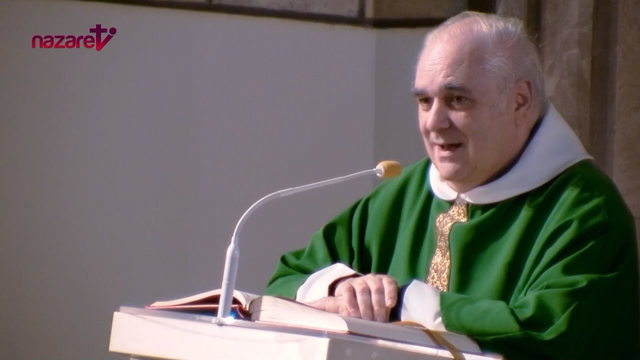 Evangelio y homilía de hoy viernes 8 de noviembre de 2024. Rvdo. Enric Ribas, pbro.