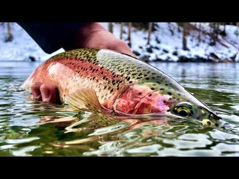 Floating the Yakima River, Washington's only Blue Ribbon Trout Stream