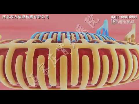 Hypertensive Nephropathy