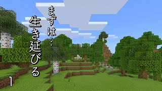 [マイクラ] onスィッチ No.1 まずは初日を無事に終えますように…