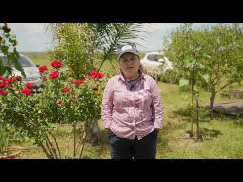 Proyecto FPTA 360 Sostenibilidad del ovino en sistemas ganaderos mixtos - Karina Blanc