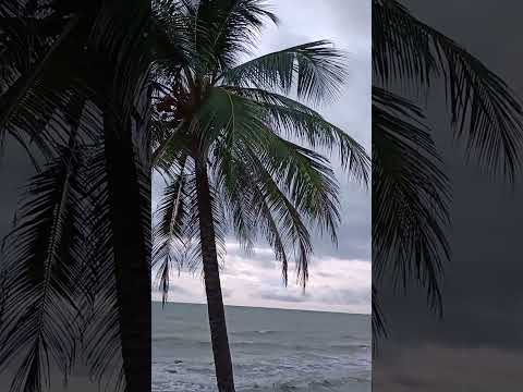 Un privilegio oír los sonidos del mar. Puerto Escondido, Córdoba