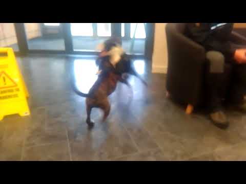 Tanya vs her sister part 2 fight club