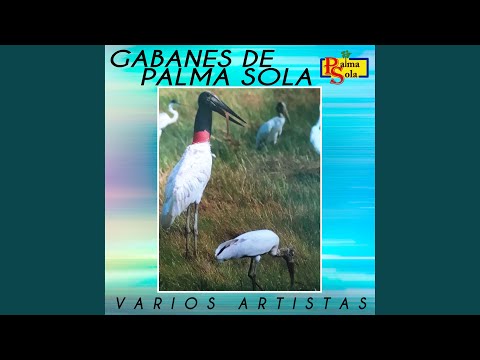 Las Correrías Del Gabán