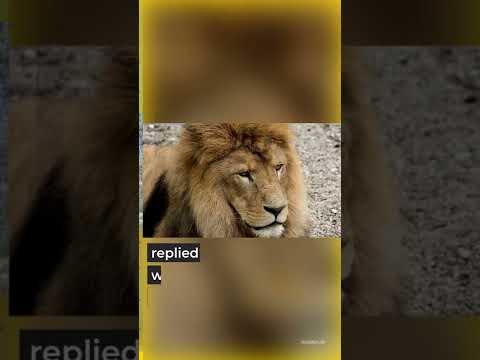 The Sick Lion #shorts