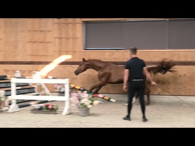 jumping