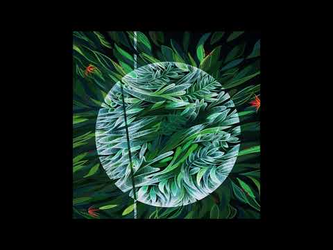 Polygonia - Enigmatic Forest (Delusional Circuits Interpretation) [IO:013]