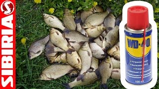 Приманки для сорок