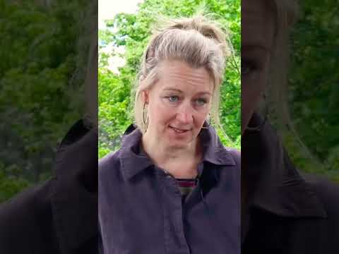 Start writing at 30 - Testimonial Anna Hope, English novelist