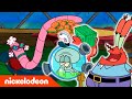 SpongeBob | De Krokante Krab wordt diervriendelijk! | Nickelodeon Nederlands