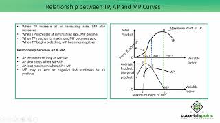 Class 12th – Relationship between TP, AP and MP Curves | Economics | Tutorials Point