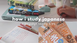 how i study japanese + language learning tips for self-studying