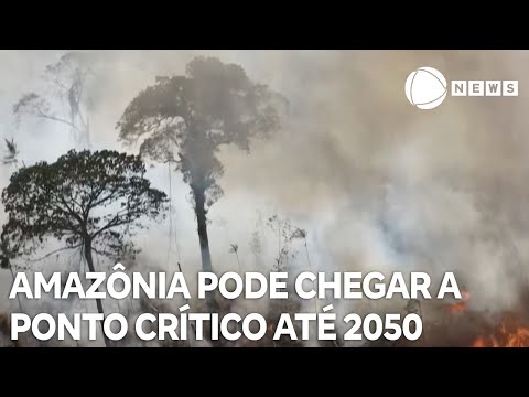 Amazônia pode chegar a ponto crítico até o ano de 2050