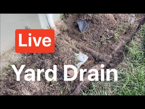 Live how to install a catch basin on existing drain