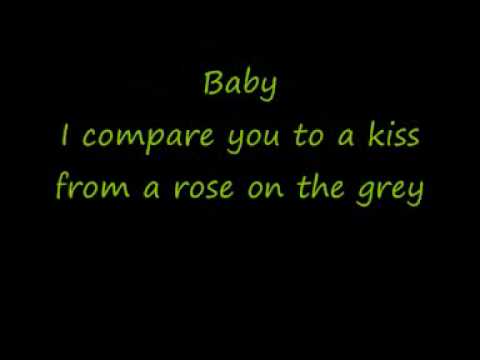 Kiss From A Rose