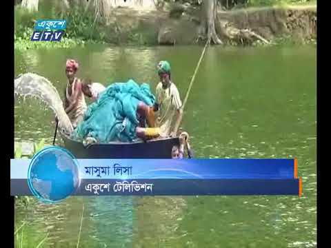 কার্প মাছচাষে রাজবাড়ীর আব্দুর রহিমের সাফল্য