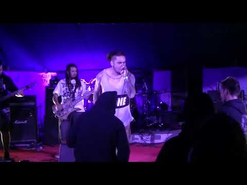 Wewain - clc ( centro ceremonial mapuche viña del mar)