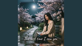 The Last Time I Saw You