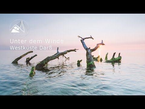 Unter dem Winde, die Westküste Darß