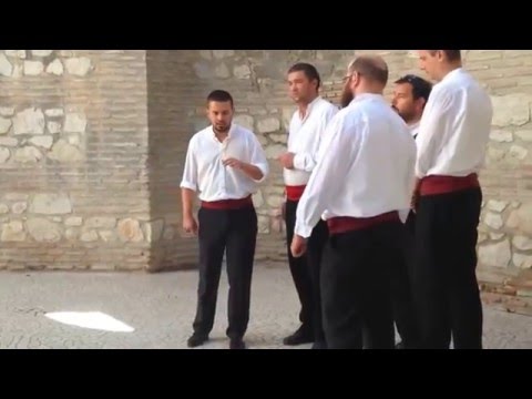 Traditional Dalmatian Klapa Singing at Diocletian's Palace, Split, Croatia