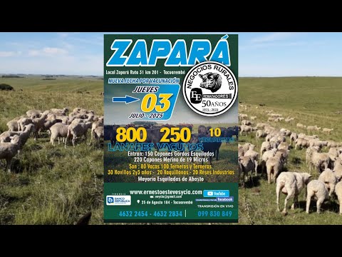 Remata Ernesto Esteves y Cia - Local Zapará Tacuarembó - 03 de Julio de 2025