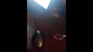 Gotta get dat doe Ft Cook