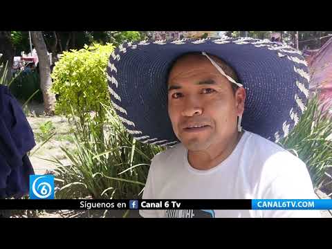 Video: Artesanos mantienen viva la Tradición de Las Palmas rumbo al Domingo de Ramos en Chalco