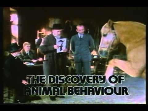 BBC2 Continuity (17th October 1982) 1/2