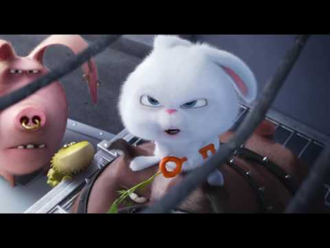 Comme Des Bêtes / Extrait "Max et Duke veulent se rallier à Pompon" VF [Au cinéma le 27 juillet]