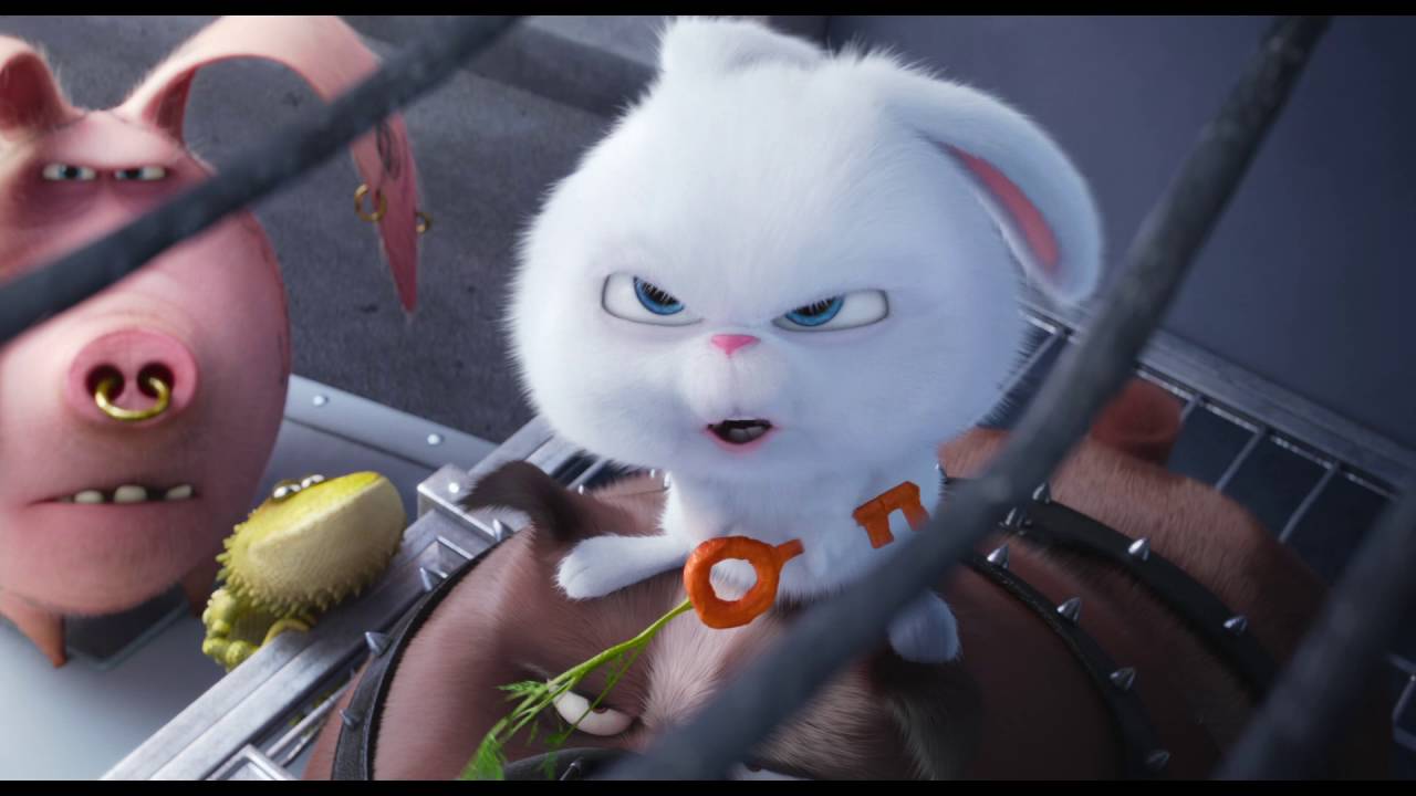 Miniature de la vidéo Comme Des Bêtes / Extrait "Max et Duke veulent se rallier à Pompon" VF [Au cinéma le 27 juillet] du film Comme des bêtes